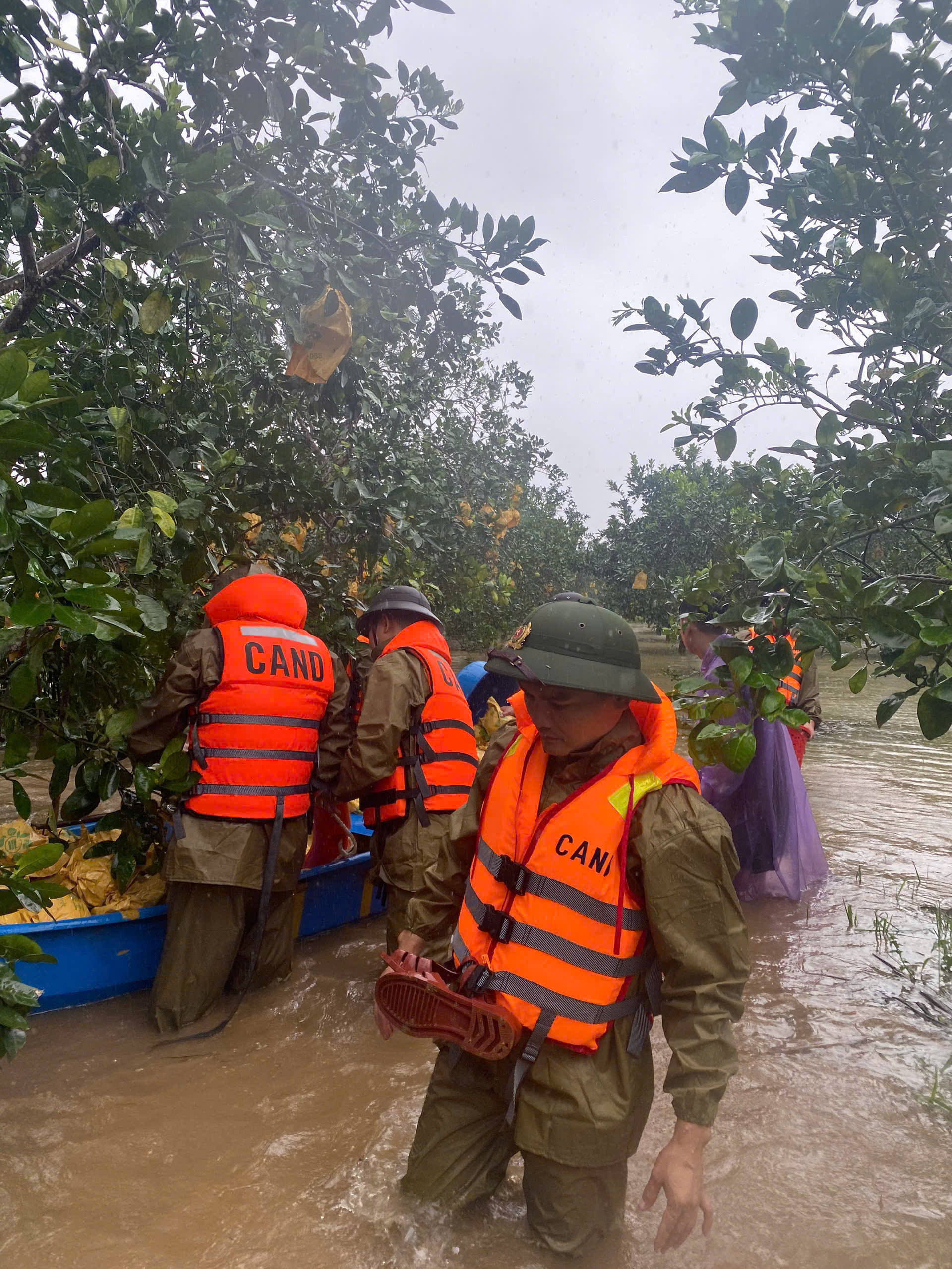 z69610659947483d7127a1382d07bcac9347f1bfe53bf8