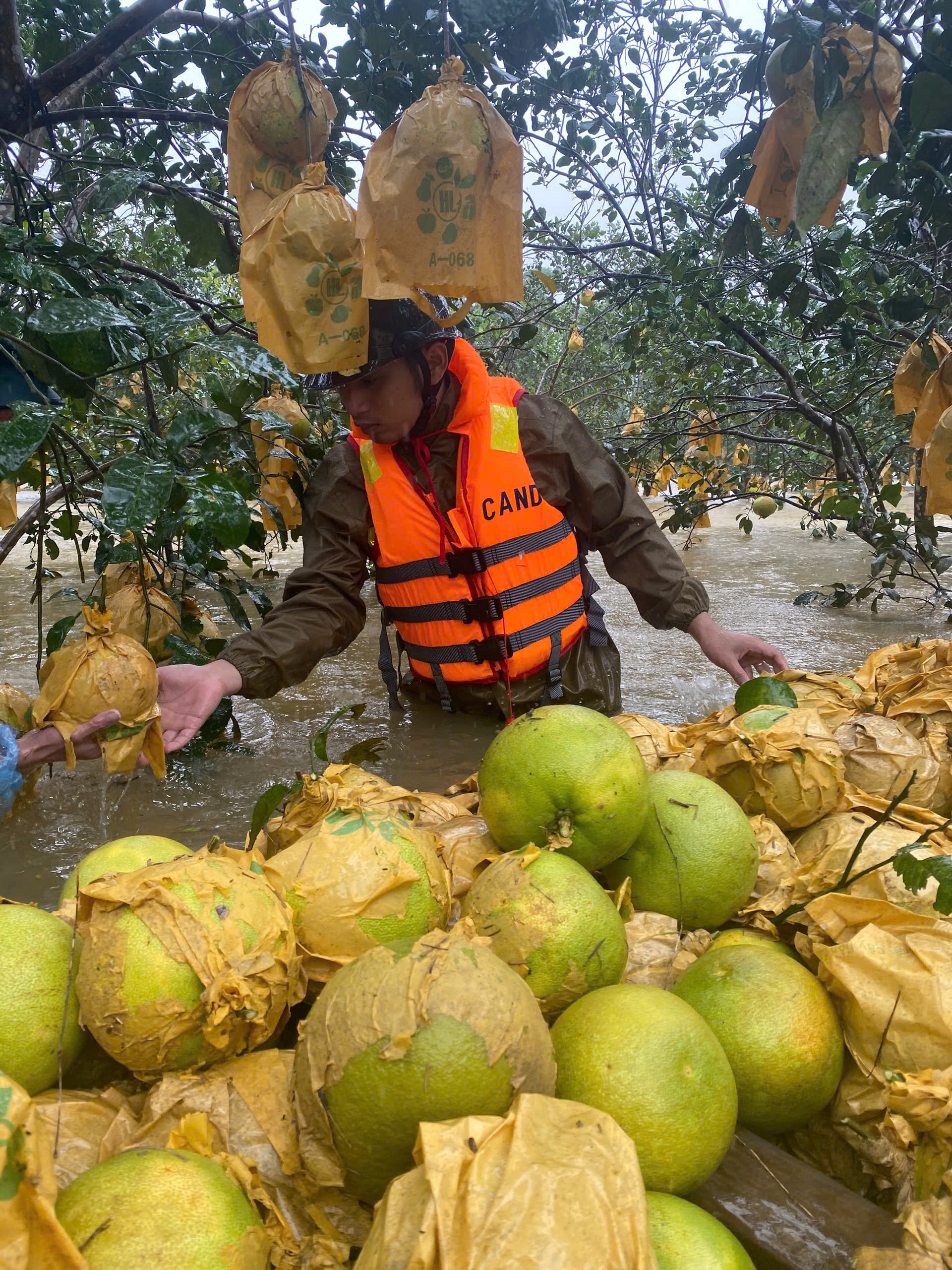 z69610660043709ad463d36055f9569d7941ddbd03cd9b