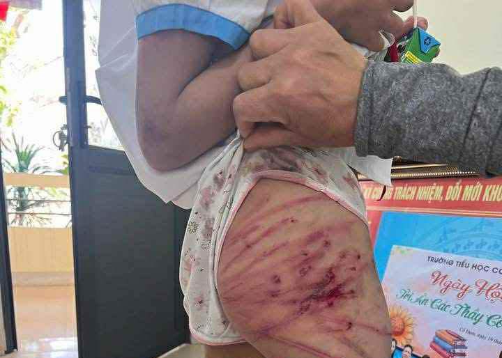 56640355015997588543241361548119924698369906nikrk