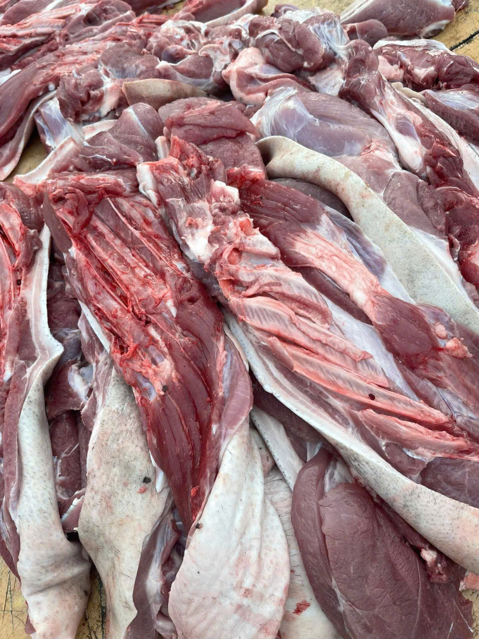 lon rung trang trai 6