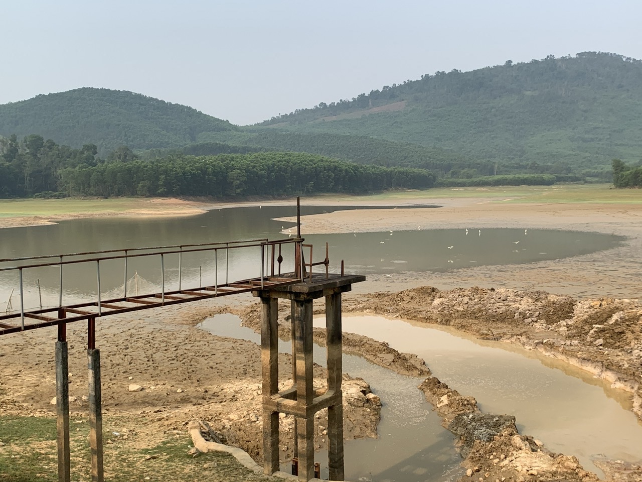 z7695436244736a6b2c37bf96eebed700ba42449d8f29e