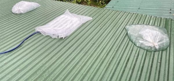 5370951587649002029440974240686527963390364n