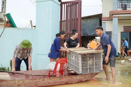 tan ki nghe an 3 1756285616