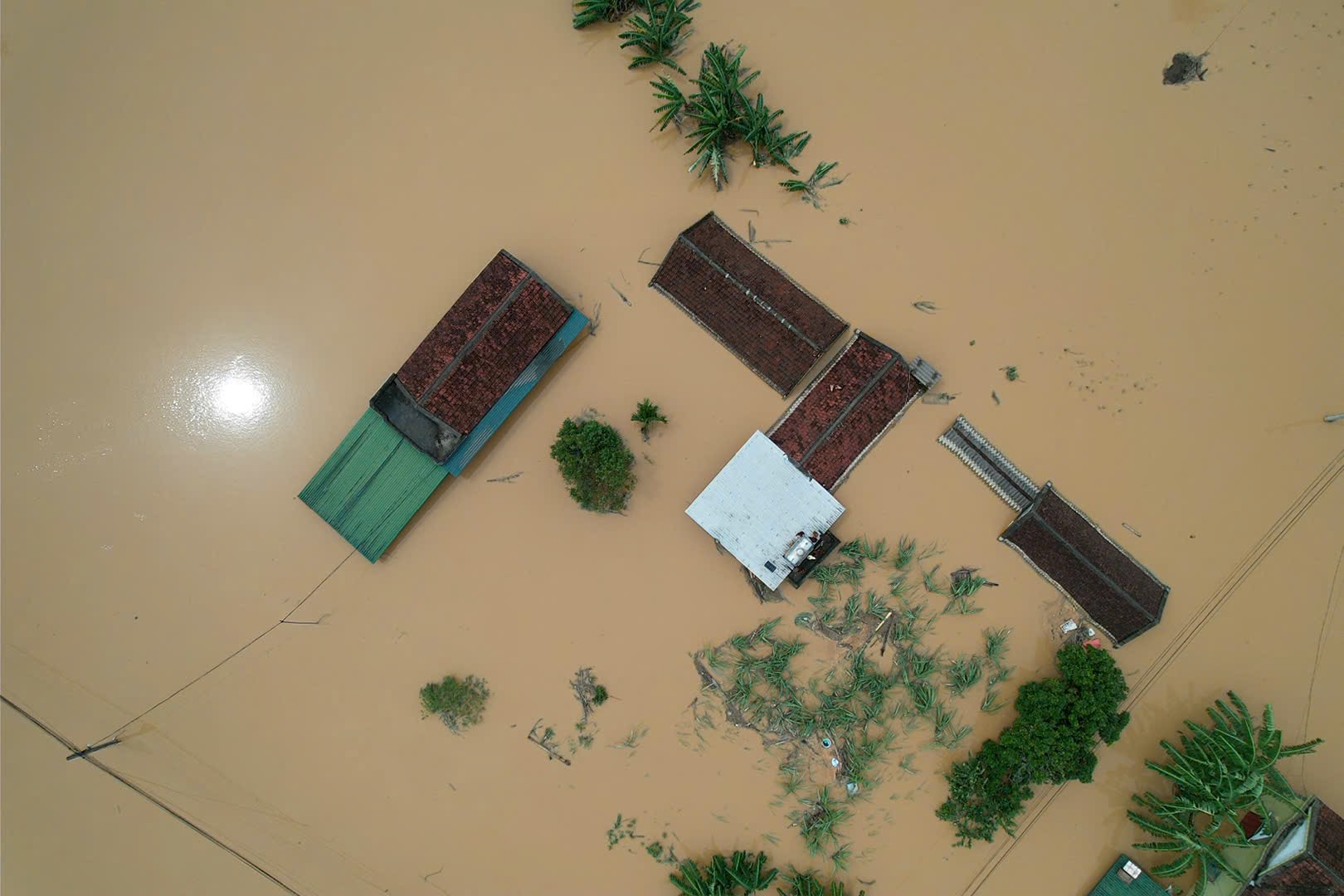 z7069678587833d93c56981f116168b89083ce2bcb153b