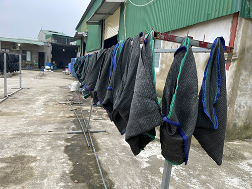 Nghệ An: Kiểm tra địa điểm sản xuất giá đỗ từng bị khởi tố 