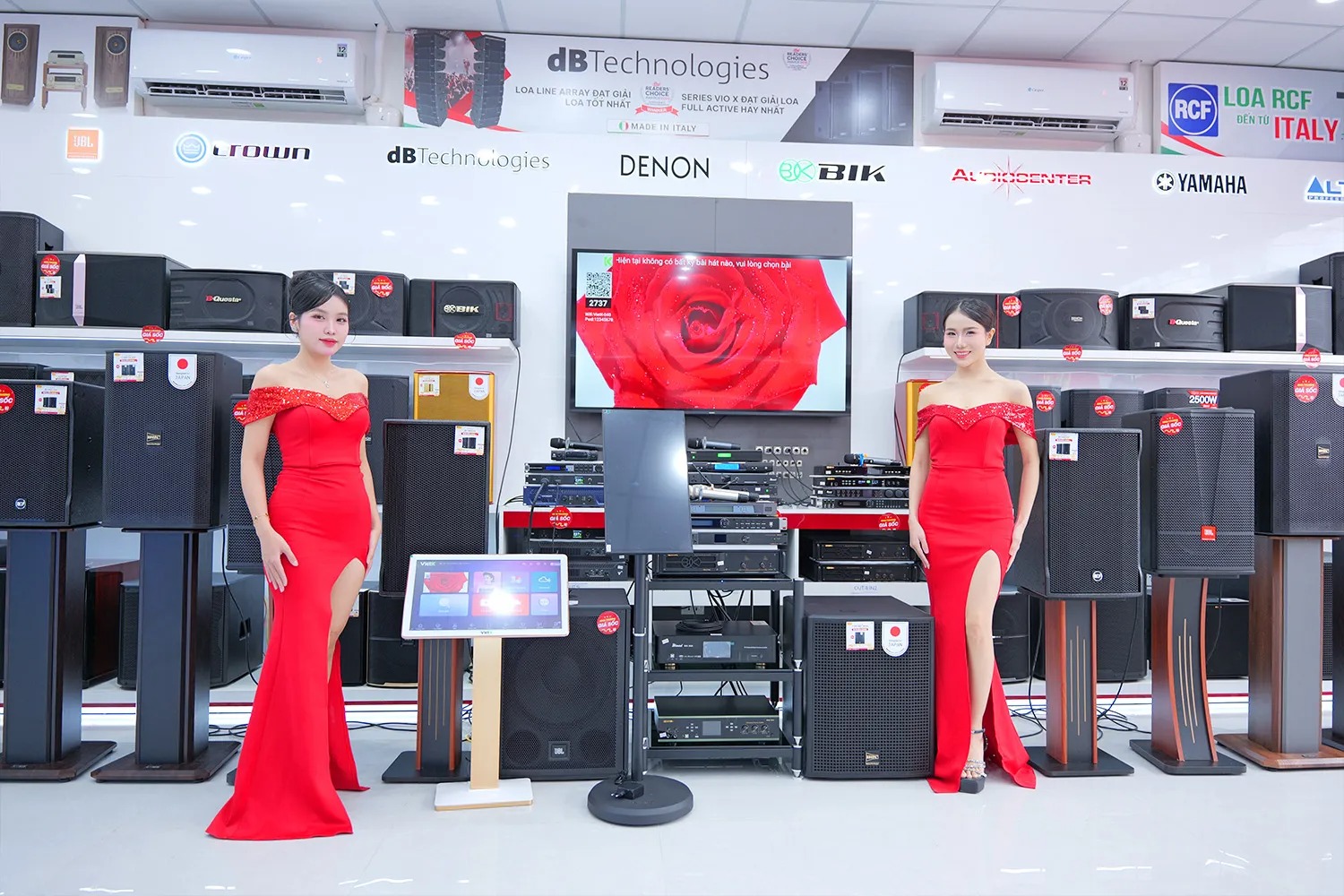 ban sao cua dang bao 3