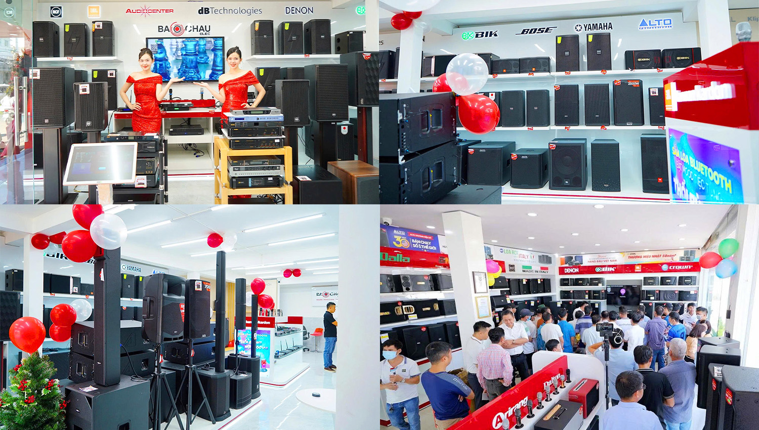 ban sao cua dang bao 4