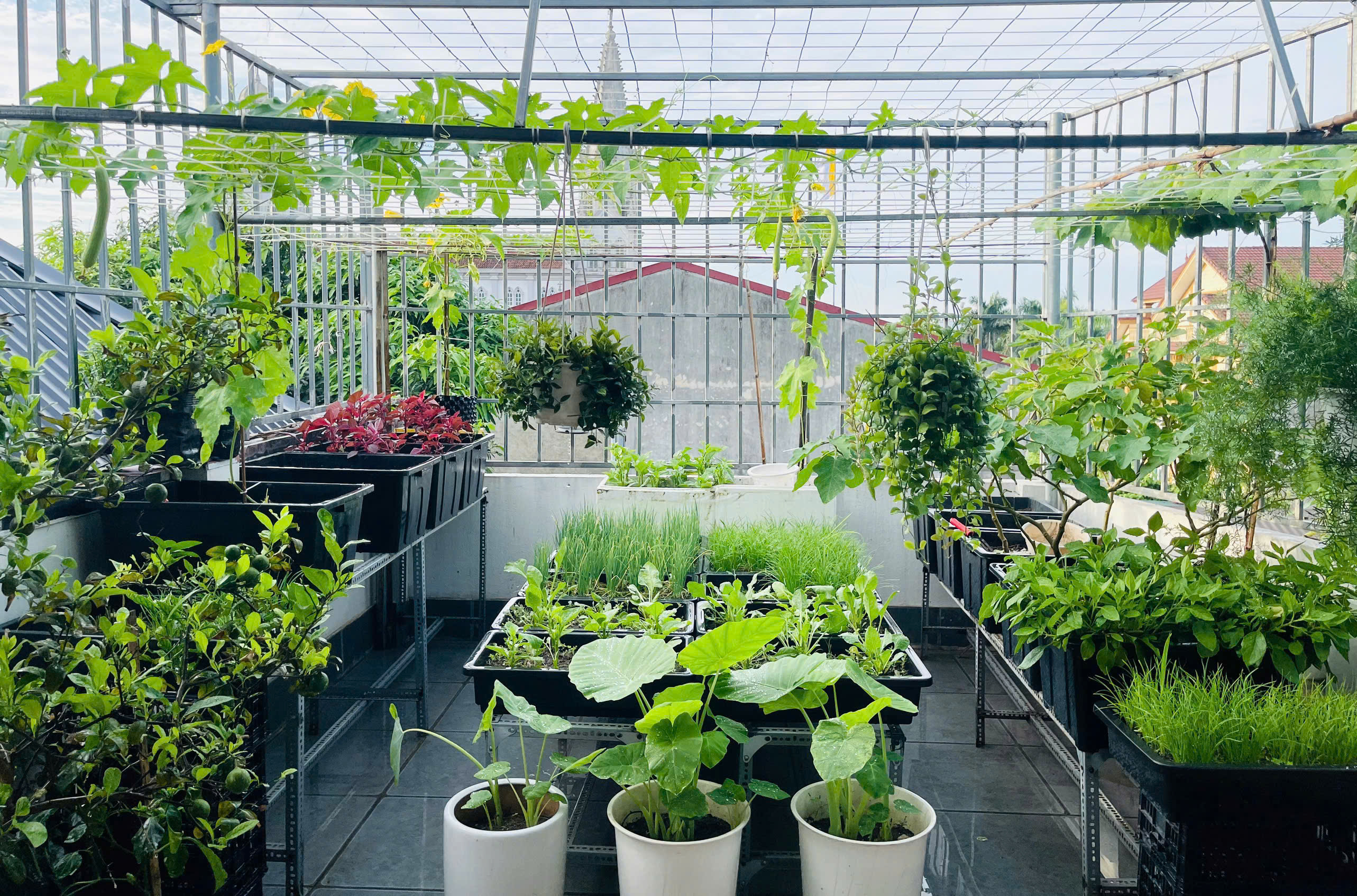 ngoi nha nho xinh o nghe an 7