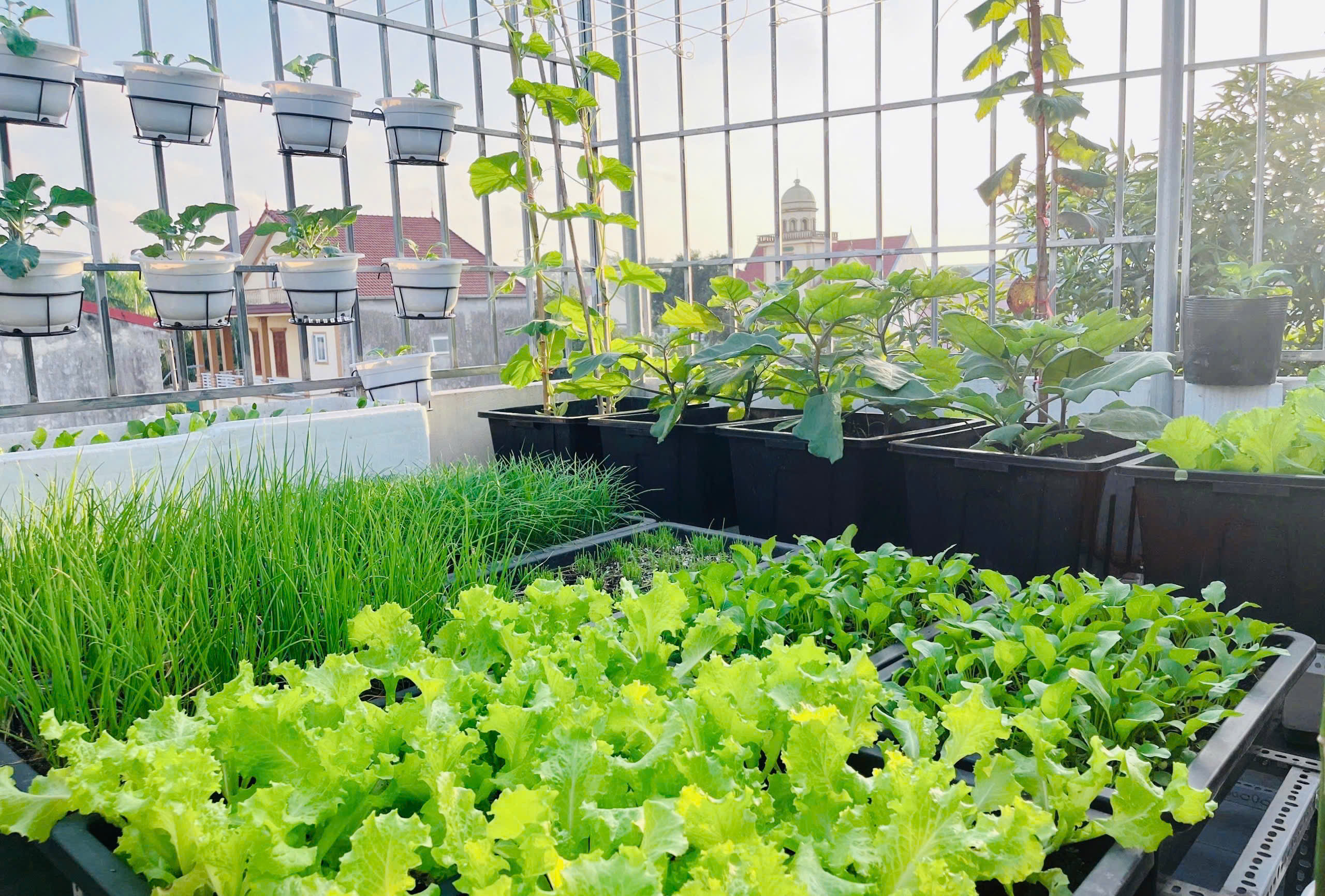 ngoi nha nho xinh o nghe an 8