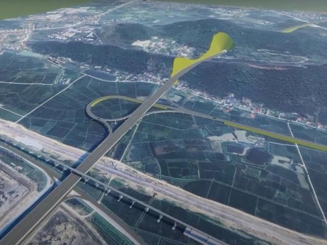 cao to vinh thanh thuy 1