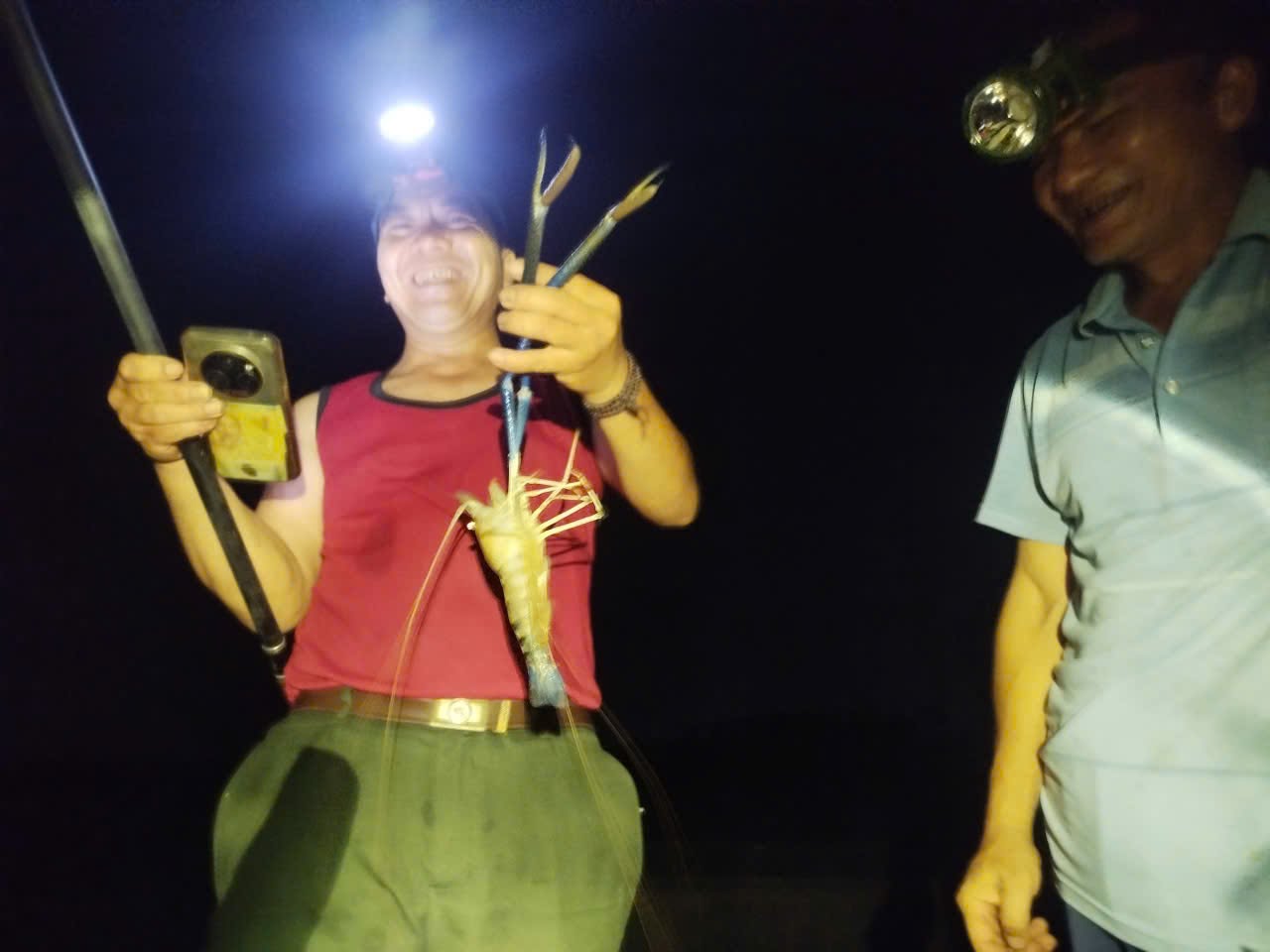 d5b9b5f8 4831 4410 b353 62467f1a98fe