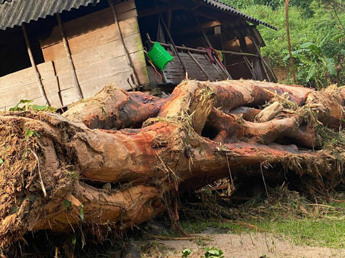 Mưa lớn trong đêm gây lũ quét tàn phá bản làng