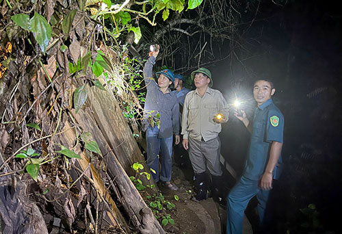 di doi nguoi dan den noi an toan 7