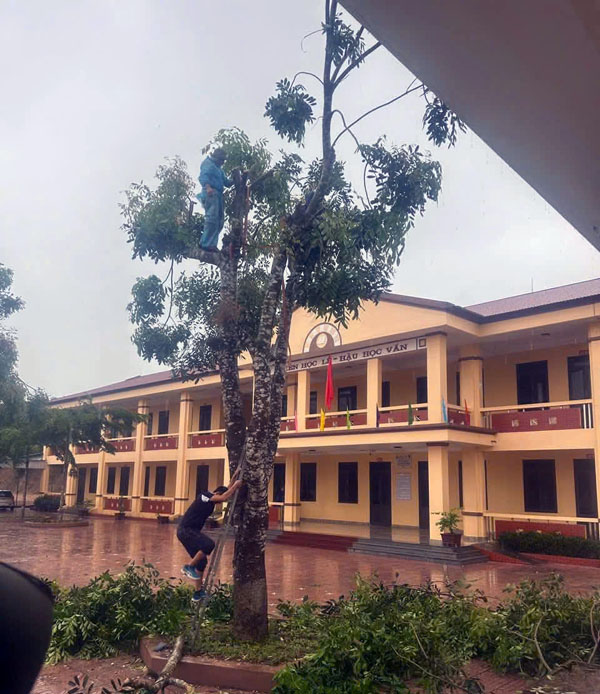 z70591393584118304faae72f3297f0a17bd249a3acc56