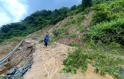 dut duong tu con bao so 10 1