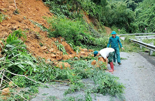 dut duong tu con bao so 10 3