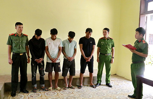 trom cap tai san trong lu 2