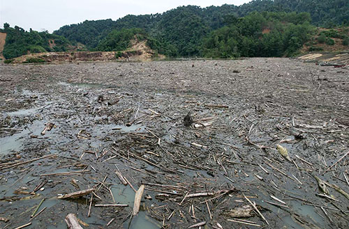 rac thai ho thuy dien 81