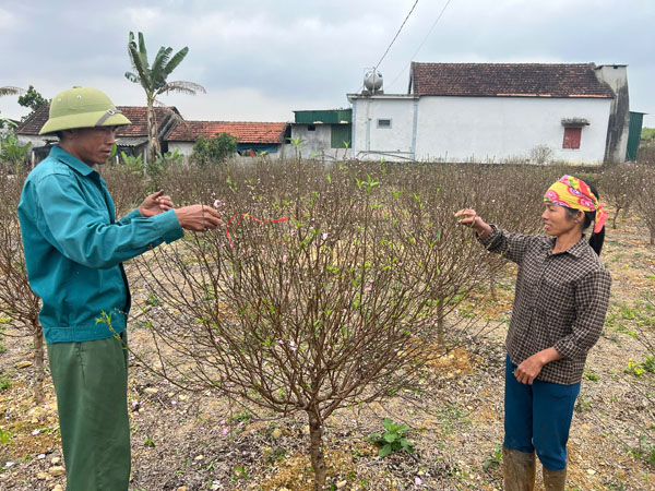 z74928723271189261670847da0cd9a405d6197922276b