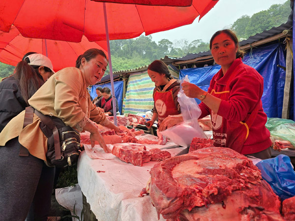 z7513927913044dc19eed864be91065800f123158de4b5