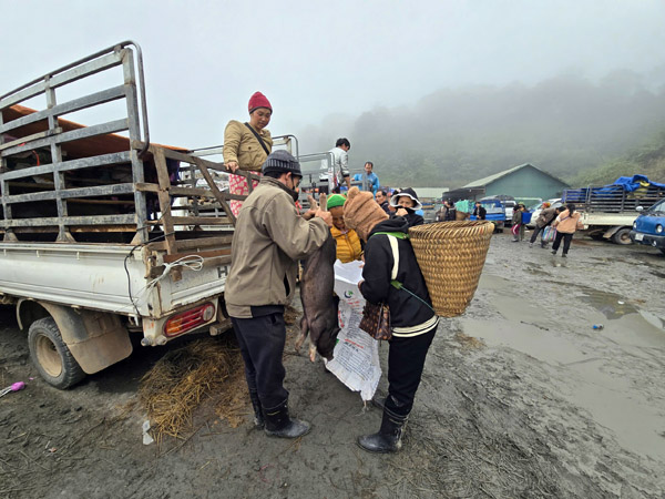 z7513928067804b9bb5ff27bb4c68cf64a88d243b763ad