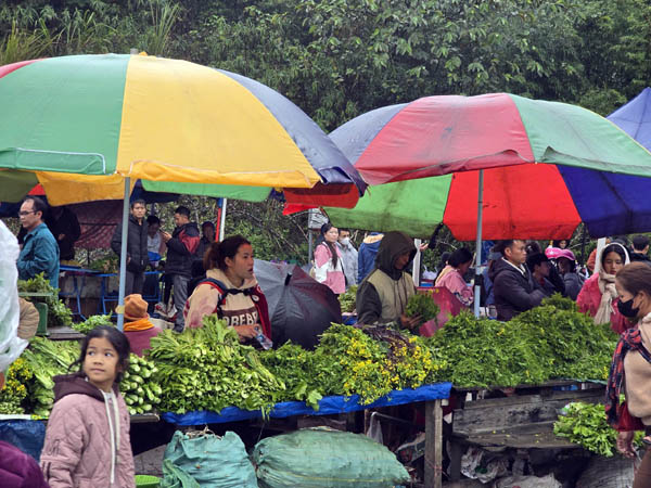 z7513932586287016b603210b77ab99b262e73b05fc568