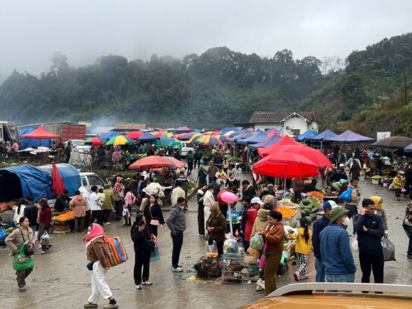 z751489333658798a52adf2a8e408cda65d28a8f89fff2