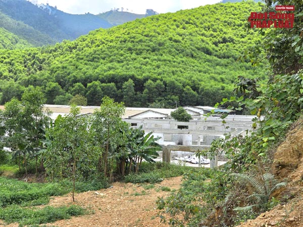 z763465086540478eac7f6b154b6d5542be34867497c75 copy