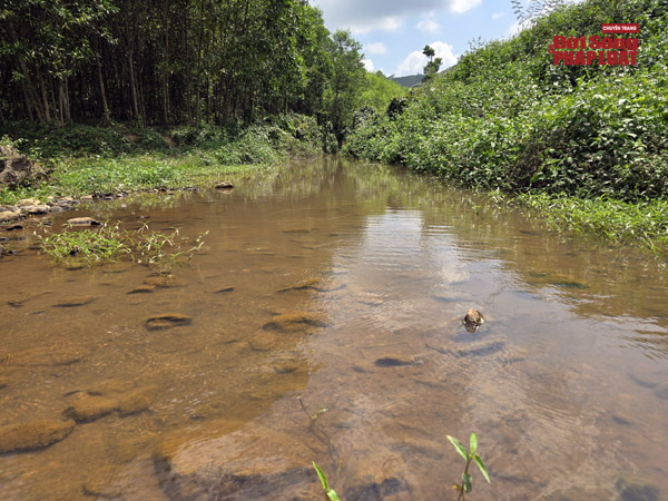 z7634650877232c732c93298e559560356ddf5328fcee9 copy