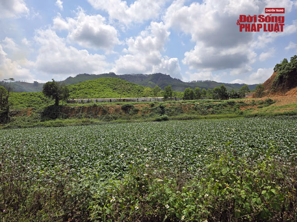 z7634650943718b94d1a6122b35182e58c40edaf7f68da copy