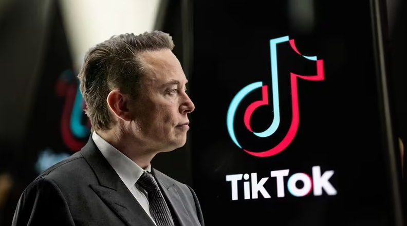 tiktok musk