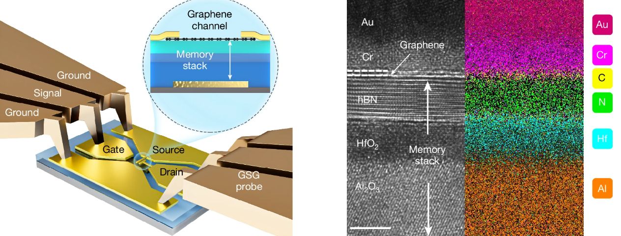 grapheneflashmemoryfudanyutongxiangnature2025