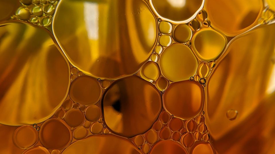 blocking energy control protein prevents fat accumulation 399300 960x540