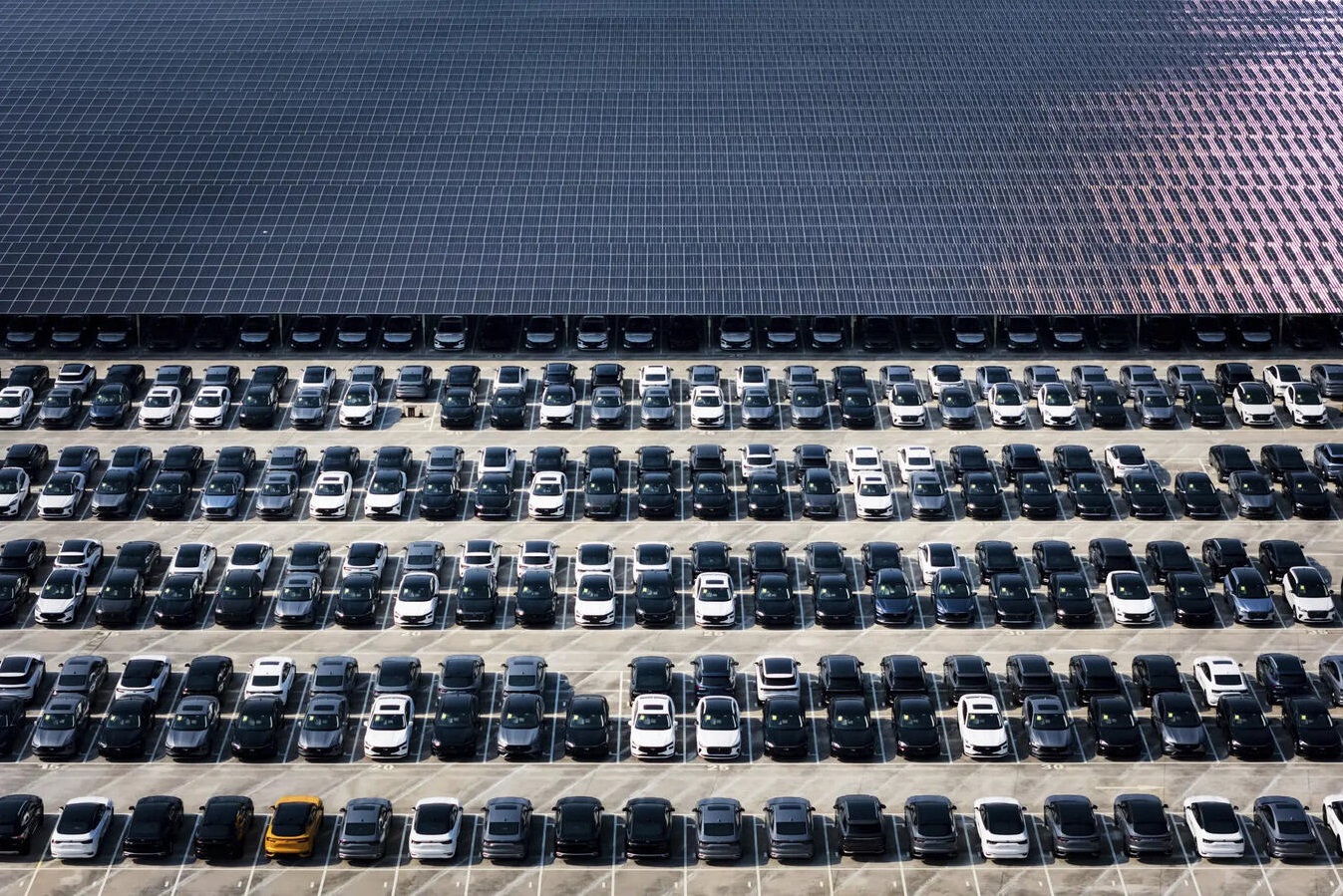 chinese consumer complaints show widespread padding of car sales figures