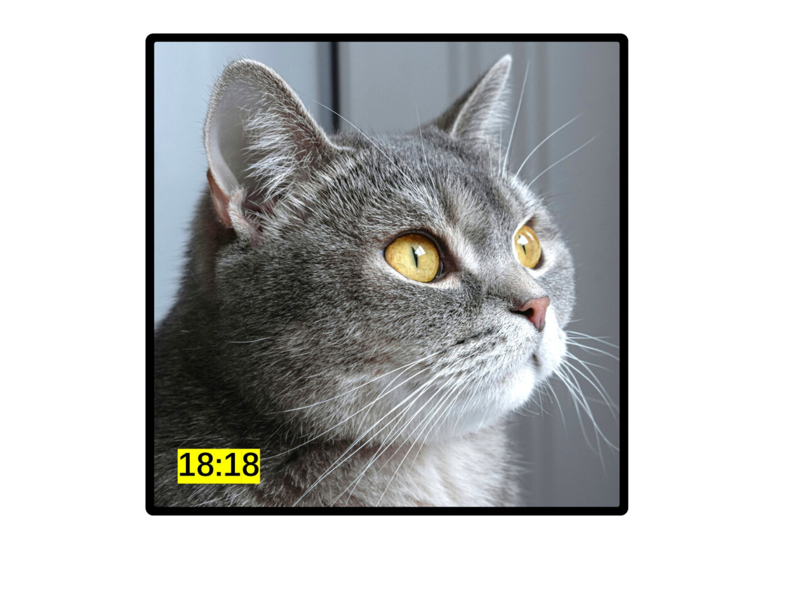 z fold wide new rumours kv