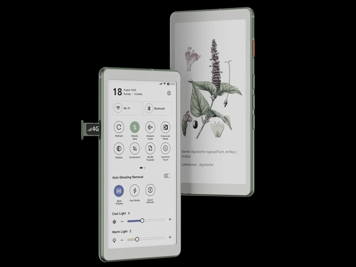 viwoods aipaper reader c