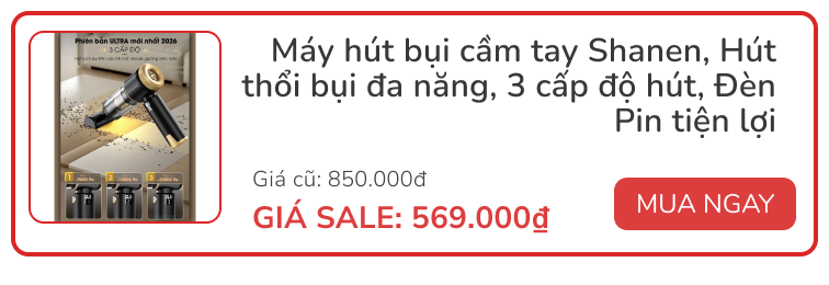 flash sale mini 2026 01 28t165728369