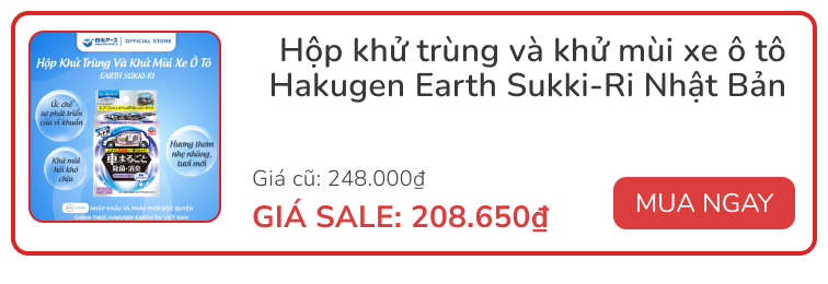 flash sale mini 2026 02 05t172555313