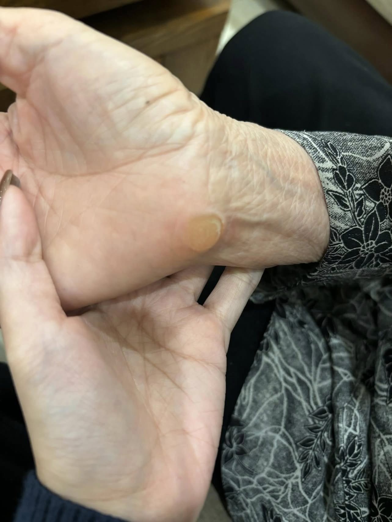 6250600701226803636211731536533975500584073n