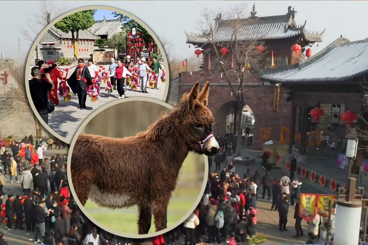 Ngôi làng cổ 600 năm tuổi tại Trung Quốc đổi đời nhờ đóng phim: Cả người và vật nuôi đều thành diễn viên