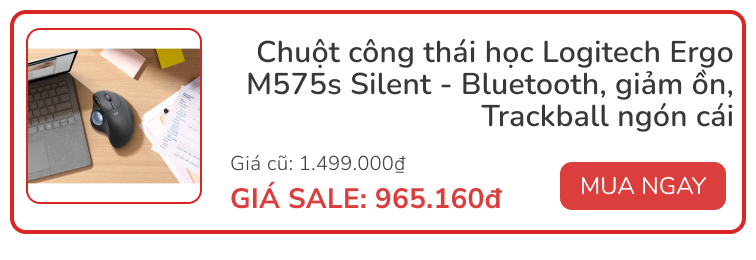 flash sale mini 2026 02 25t163403741