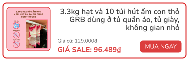 flash sale mini 2026 02 26t172850792