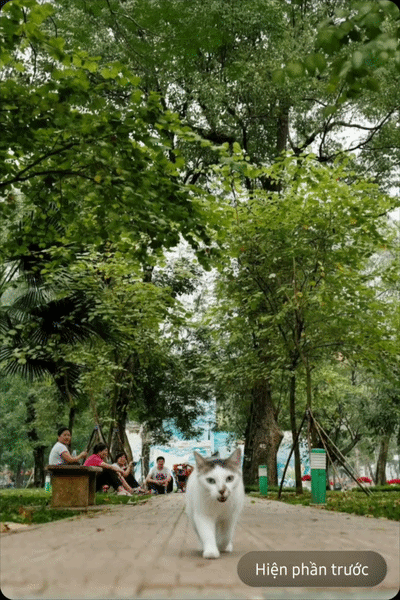 screenrecording20260308172253photoeditor ezgifcom video to gif converter