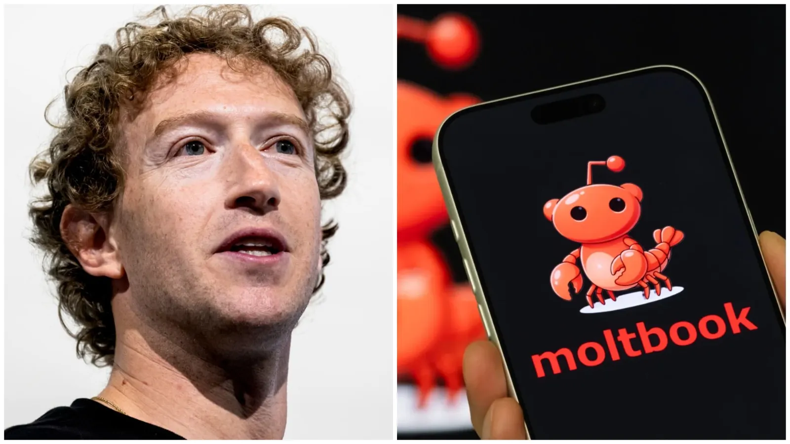 Meta thâu tóm Moltbook - mạng xã hội dành riêng cho AI agents