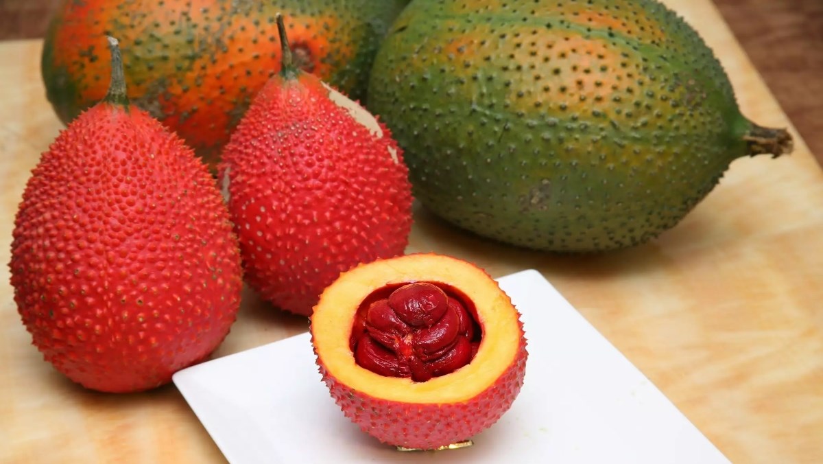 nhung cach bao quan gac don gian va hieu qua nhat avt 1200x676