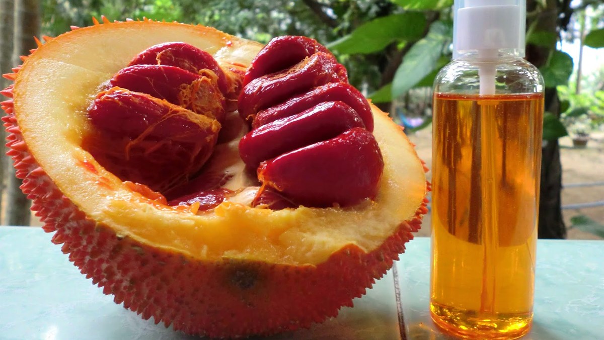 tac dung cua dau gac mua dau gac o dau the nao de uong dau gac dung cach 0 1200x676