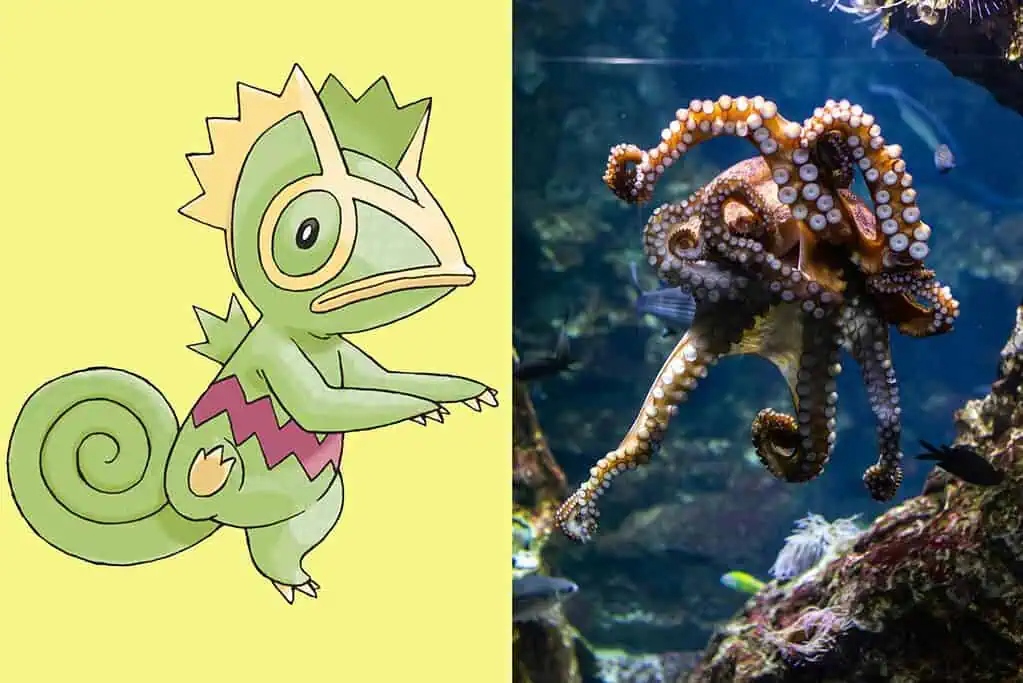 kegleon and octopus 1024x683