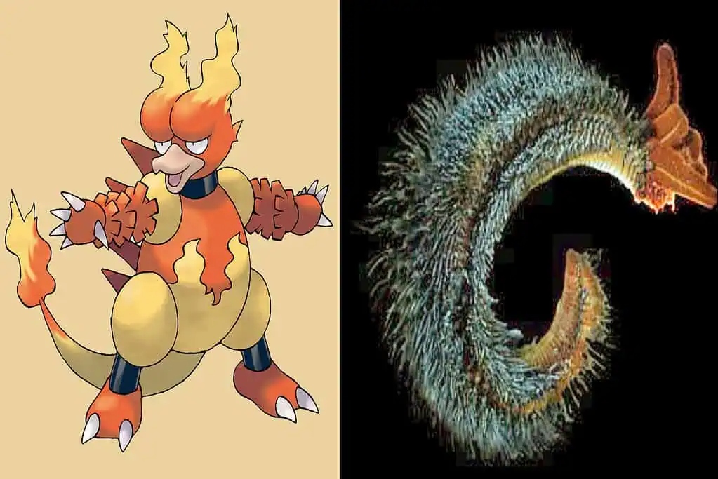 magmar and pompei worm 1024x683