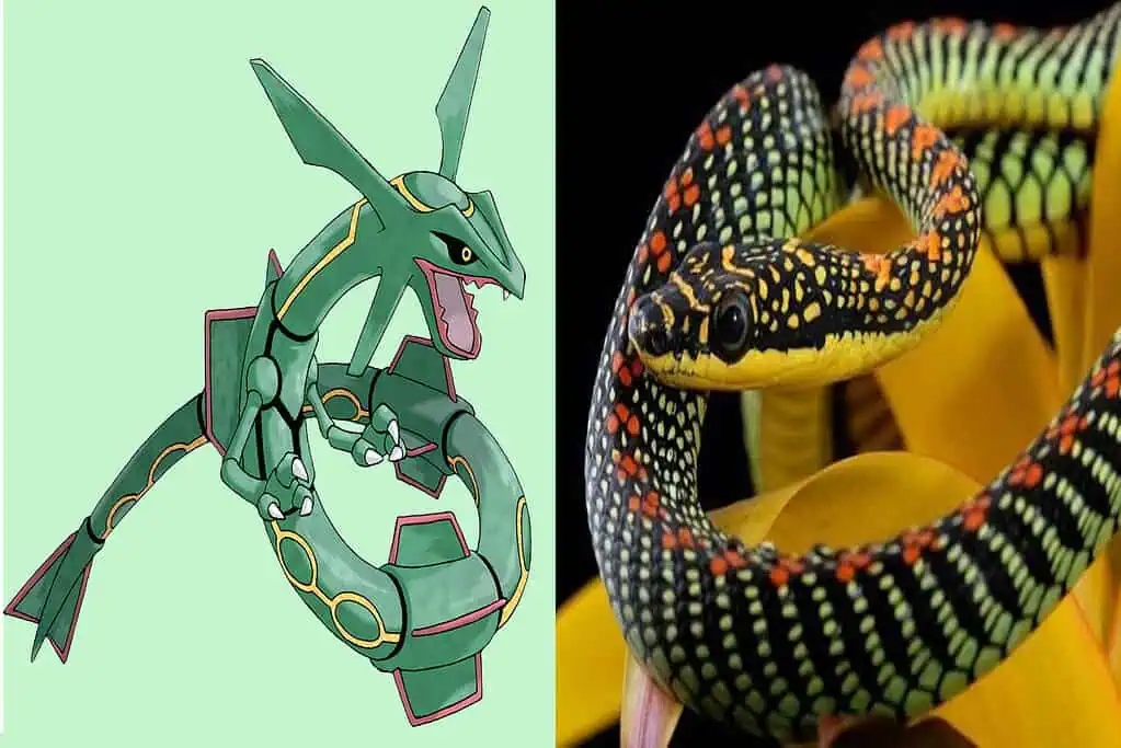 rayquaza and flying snake 1024x6