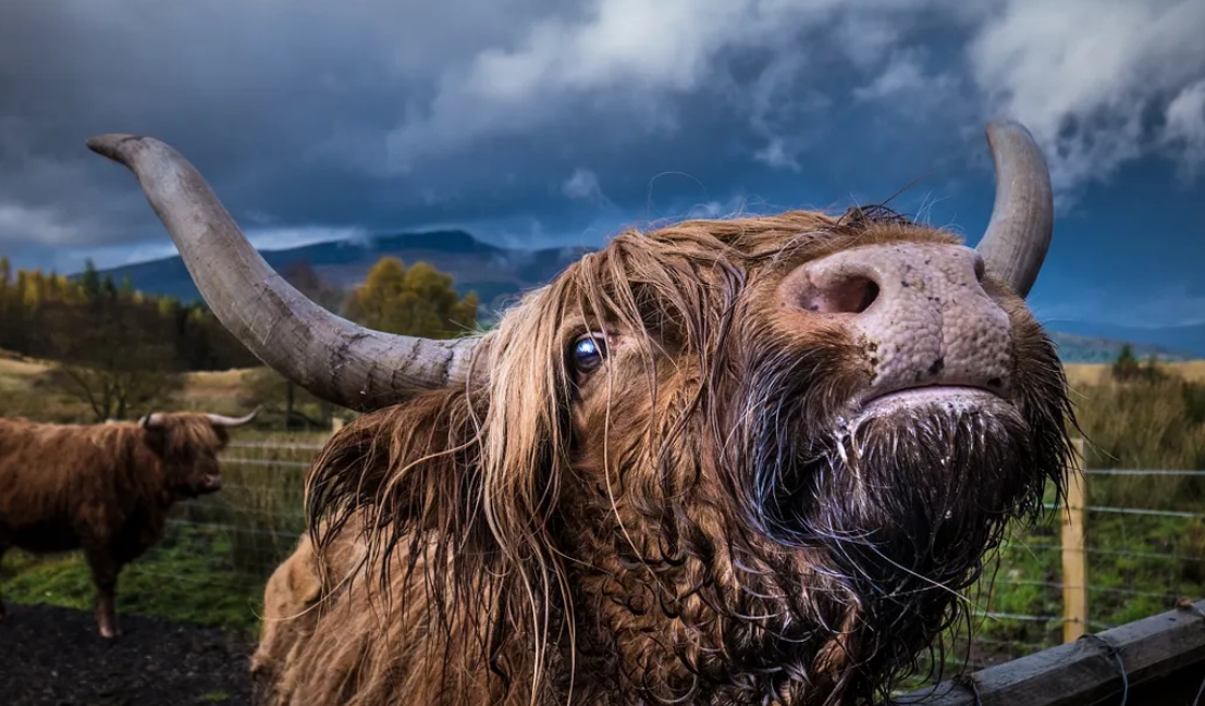 v2 56137efbf3460143569784f470ab8